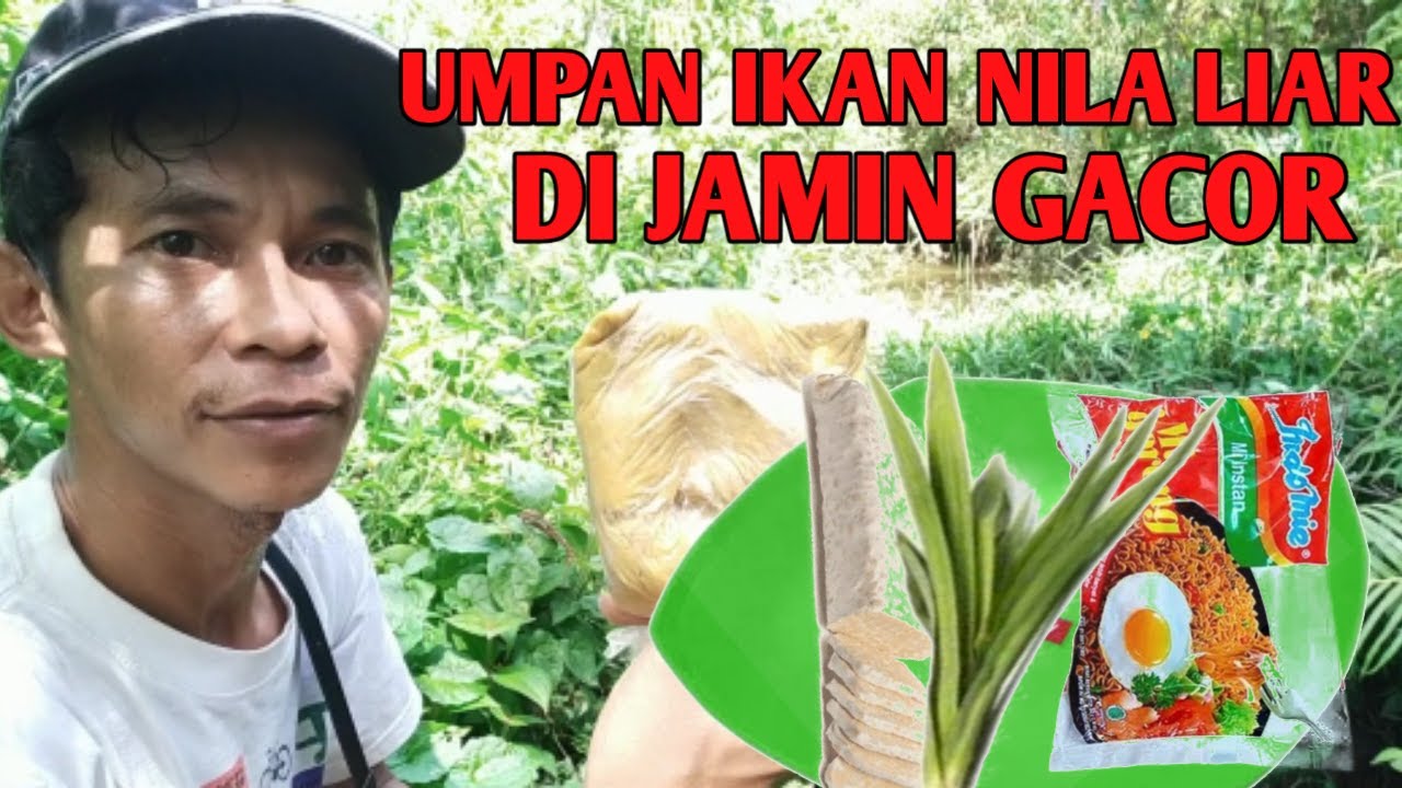 TES UMAPAN IKAN NILA LIAR PAKAI  MIE TEMPE DAN DAUN  PANDAN  