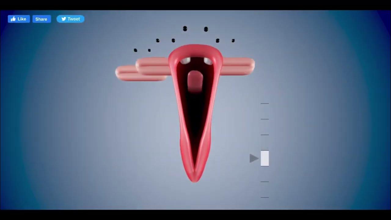 Blob opera vs Choir cuál es mejor? YouTube