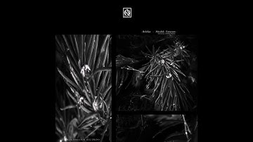 Bohdan - Hausdorff Distance [NTS030]