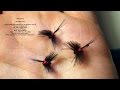 Tying the CDC Black Caenis by Davie McPhail