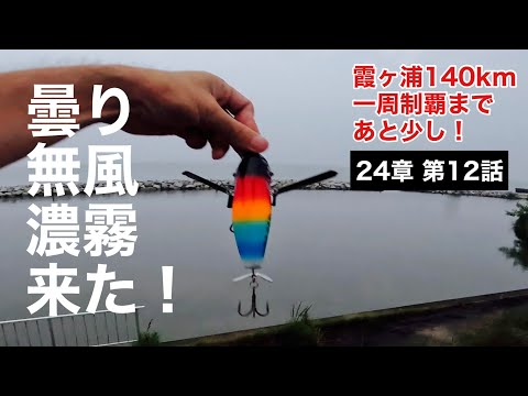 Chapter 24 Episode 12 [Ushiwata Area/Lake Kasumigaura/Early July/Bass Fishing] Episode 240