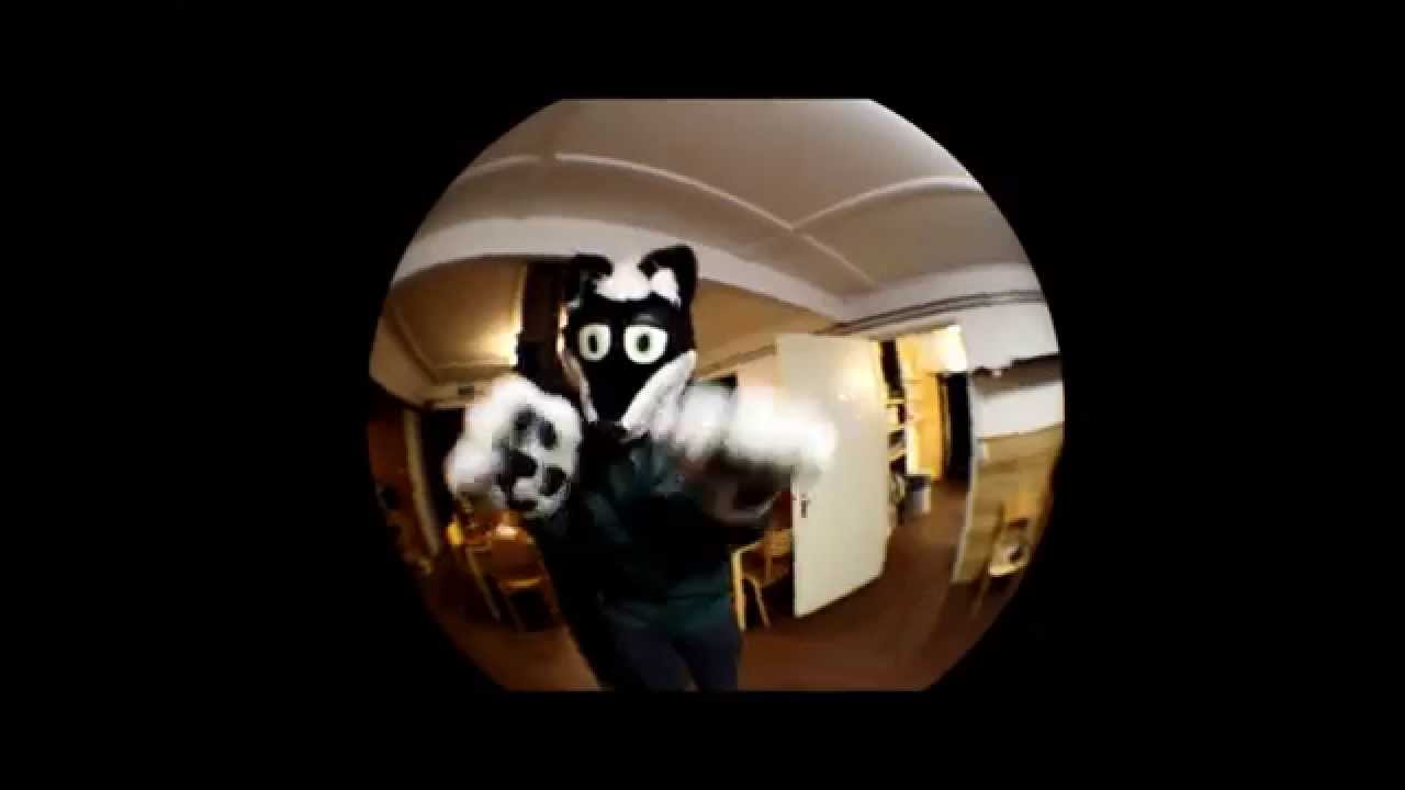 Furryweekend Texel 2014