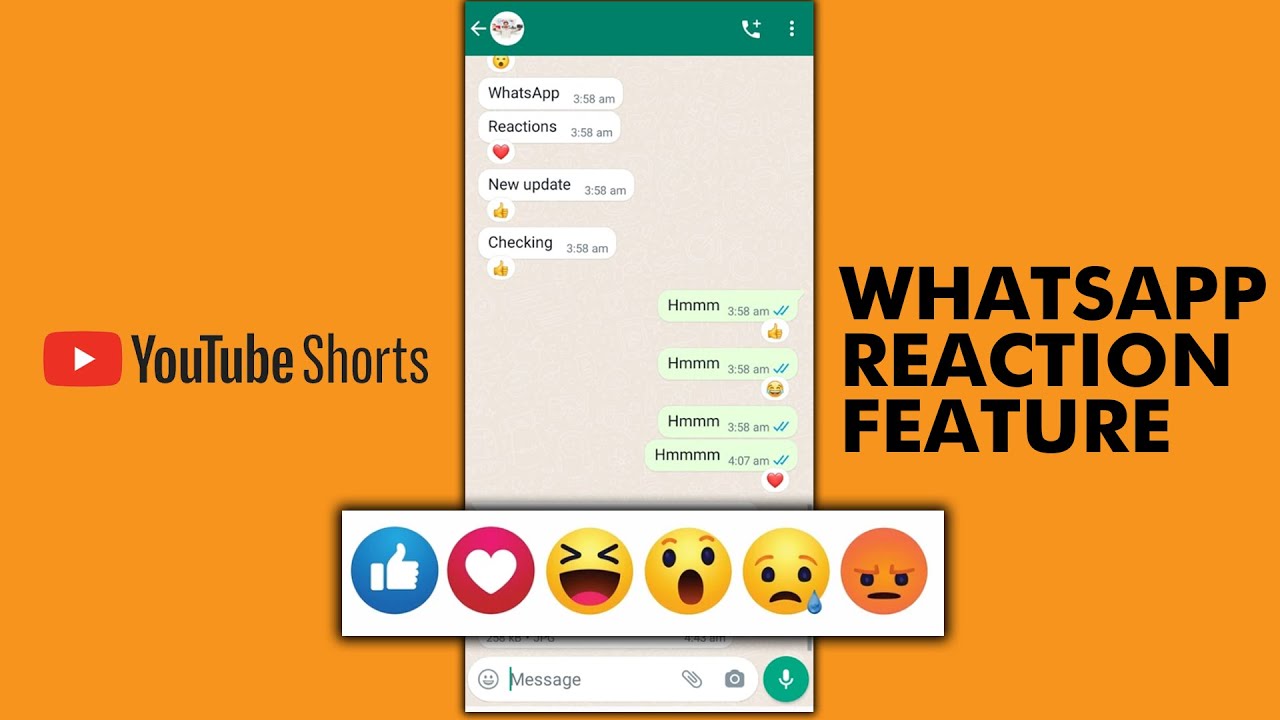 WhatsApp Reaction Feature | WhatsApp Reaction Setting 