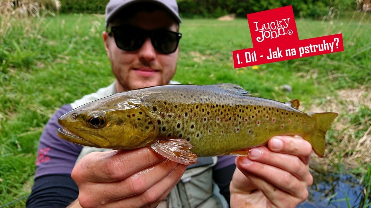 LJ TV - 1. díl Jak na pstruhy? - Strategie na malých říčkách + video z lovu!