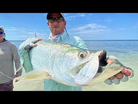 Jardines de la Reina Cuba Fly Fishing