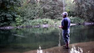 Commando Skagit and 12' OPST Run Sink tip
