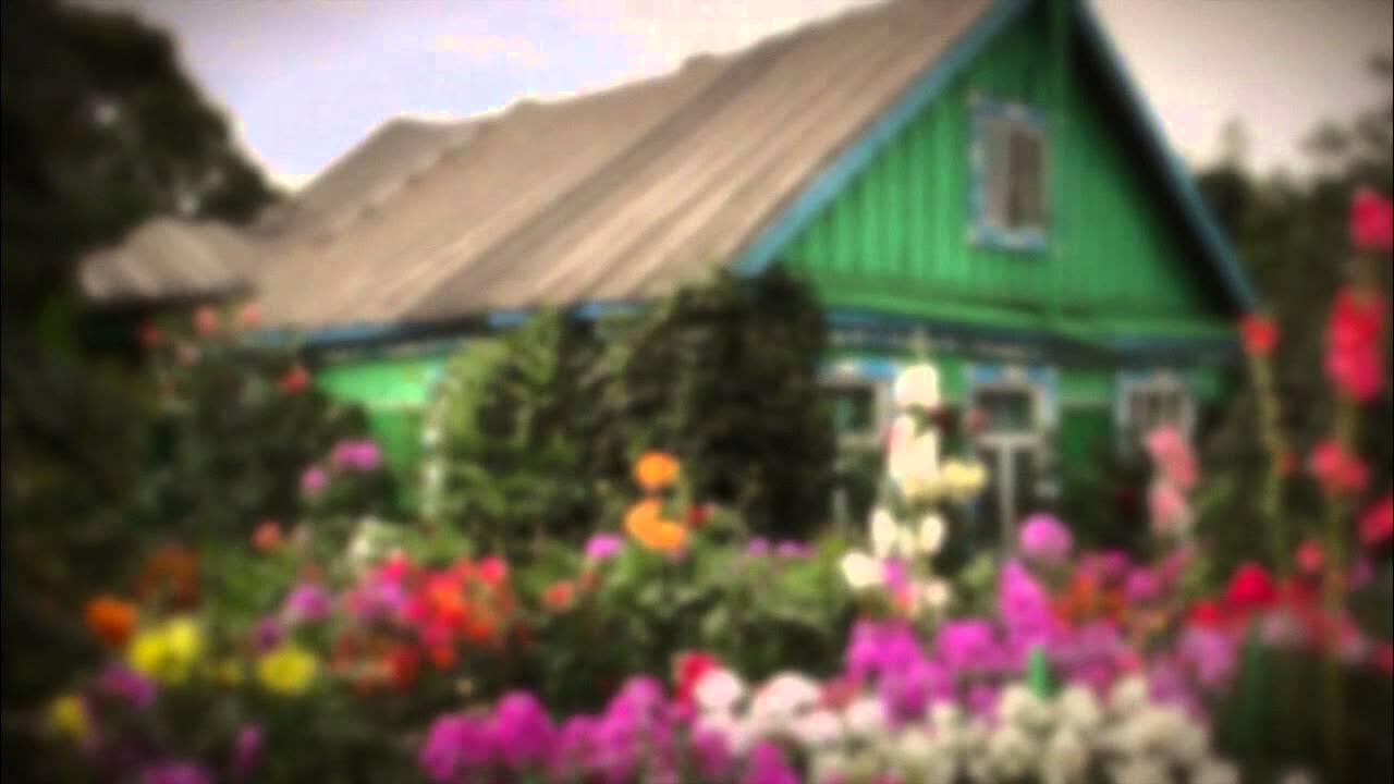 Палисад мальвы деревня