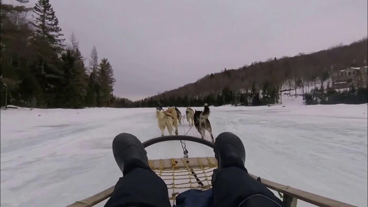 Dog Sledding in Canada YouTube