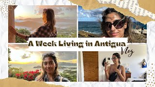 My First Week Living In Antigua Medical Student American University Of Antigua Aua Orientation