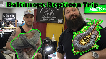 Come with us on a Baltimore Repticon Trip!