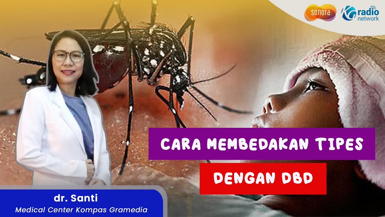 bagaimana-cara-membedakan-tipes-dengan-dbd-health-corner-youtube