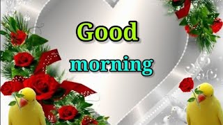 Good morning song, Good morning video, Good morning Shayri for whats app