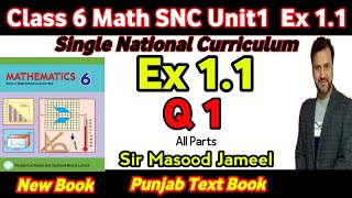 Class 6 Math SNC Exercise 1.1 Q 1|| Grade 6 Math New Book Ex 1.1 Q 1 || Single National Curriculum||