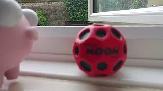 Waboba MoonBall Vs A Pink Pig