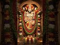శ్రీ వెంకటేశ్వర స్వామి 🙏 #venkateswaraswamy #govinda #tirumala #viral #shorts #youtubeshorts