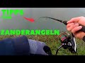 Zander fishing in the canal | How to catch zander in the canal