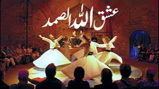 Suchy ashiqa da kehna ❤️❤️❤️ #viralvideo #qawali #like #follow #share