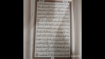 ورد يومي من القران الكريم