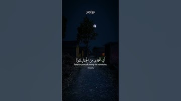 وَأَوْحَىٰ رَبُّكَ إِلَى النَّحْلِ /القارئ عبد الباسط عبد الصمد #قرآن