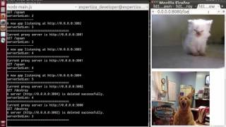DevOps - Proxies, Queues, Cache Fluency