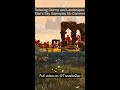 Alien Landscape Trees | No Man's Sky Gameplay No Commentary