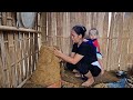 Single Mother Makes A Clay Stove Caring For Her Sick Daughter Single Mother Makes A Clay Stove Caring For Her Sick Daughter