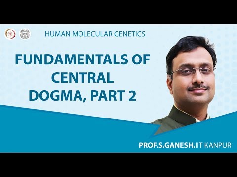 Fundamentals of central dogma, Part 2