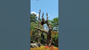 2023 BALI, BALI Zoo