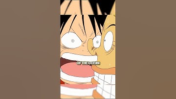 The StrawHats lost there memory 🤔