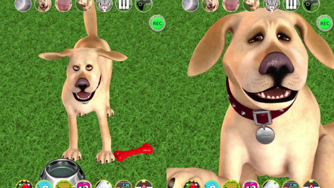 Crazy Dog APK for Android Download