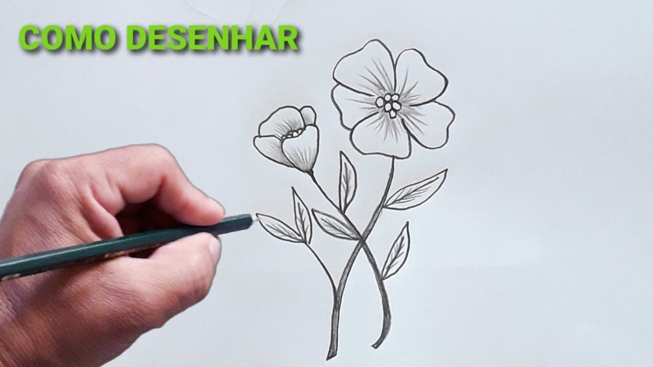 Qualquer pessoa pode desenhar flores: Tutorial de desenho passo-a-passo  fácil para crianças, adolescentes e iniciantes. Como aprender a desenhar  flores. Livro 1 (Guia do aspirante a artista 5) eBook : Smith, Julia