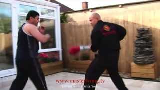 Wing Chun Training with Master Wong screenshot 3