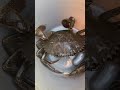 Couple crabs