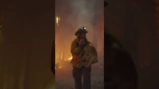 Dog TRAPPED in a Wildfire… Firefighters Arrived Just in Time ❤️‍🔥
