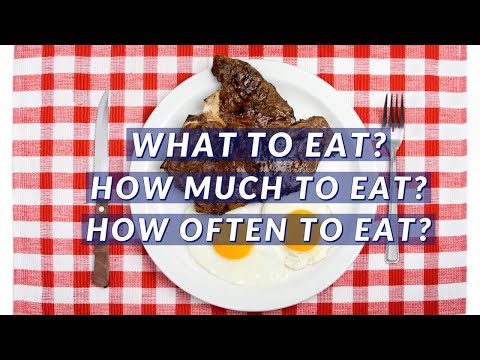 Video: Meat Diet - Menu, Reviews, Results, Tips
