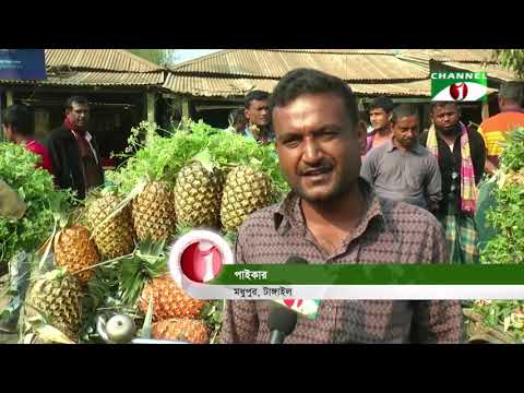 ভিডিও: যেখানে আনারস জন্মে