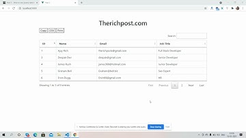 Vuejs  - Vue 3 Datatable with Print Csv and Copy Export Buttons