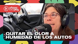 Cómo sacar el olor a humedad del auto tras muchos días de lluvia #DeAcáEnMás