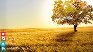 عشائية من سورة فصلت { وَلَٰكِن ظَنَنتُمْ أَنَّ اللَّهَ } للشيخ محمد اللحيدان