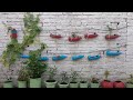 Beautiful Terrace Garden from Waste #diyGarden #terraceGarden #reuseWasteBottles