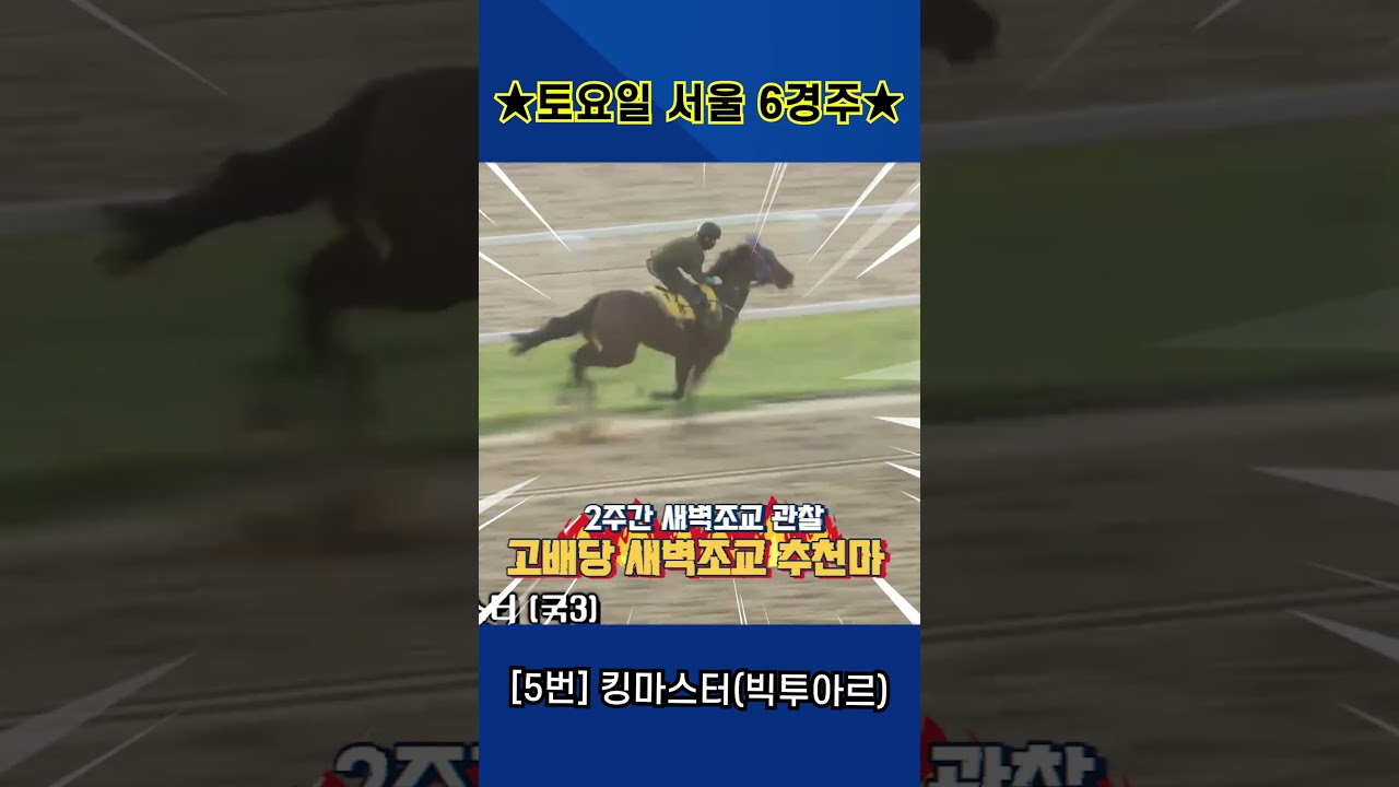 9월5일 토요일 서울 6경주!! 2주간 훈련보인 강백호의 새벽조교 쏘스마!!