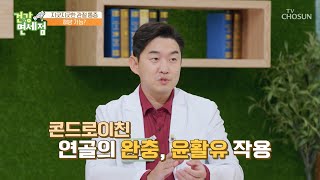 연골의 노화 억제 & 관절에 도움 주는 콘드로이친 TV CHOSUN 20221030 방송  | [건강면세점］ 123회 | TV조선