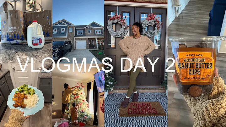 VLOGMAS DAY 2 | Trader Joe’s Haul | Decorate The Christmas Tree | Plus  More #vlogmas #groceryhaul