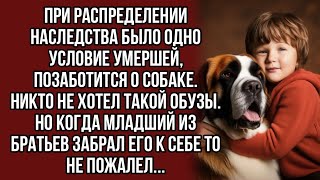 Получил в наследство собаку а оказалось что получил сокровище...