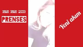 Hayatım Kutu Kutu Pense Prenses (Akim Olan Pyun Havasi)