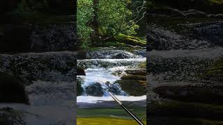 Painting Light & Motion in Water #satisfying #art #painting
***ONLINE PAINTING LESSONS***
https://www.michaeljamessmith.tv
Lessons from start to finish in real time on my new and ONLY online art school website, MJS TV. Subscribe and get access to 100s of hours of painting instruction.
*MJS APP*
You can now download lessons to your device from MJS TV!
Download Android App: https://tinyurl.com/yde9vyn2
Download iOS App: https://tinyurl.com/yagq38wu
https://direct.me/michaeljamessmith
LESSONS :https://www.michaeljamessmith.tv
STORE: https://www.shopmichaeljamessmith.com
PATREON: https://www.patreon.com/michaeljamessmith
MY BRUSHES: https://tinyurl.com/y9huu2cp
MY PANELS: https://tinyurl.com/y9a28p28
ORIGINAL PAINTINGS: https://tinyurl.com/y8he7pac
PRINTS: https://tinyurl.com/y9crfkqg
MERCHANDISE: https://tinyurl.com/mv6pnr56
PAINTS: https://tinyurl.com/yn99y97x
FACEBOOK : http://www.facebook.com/mjspaintingsofficial
TWITTER : https://twitter.com/ArtofMJS
INSTAGRAM : https://www.instagram.com/mjspaintings
Business email address: admin@shopmichaeljamessmith.com
YOU CAN SEE MY WORK AT:
Jones & Terwilliger Galleries Palm Desert CA USA
Jones & Terwilliger Galleries Carmel CA USA
Daryl Davies Fine Art UK
THANKS FOR WATCHING! Painting Light & Motion in Water #satisfying #art #painting