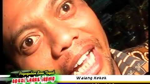 walang kekek tayub grobogan ngudi laras iromo live candisari 19 nov 210