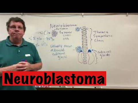 Neuroblastoma