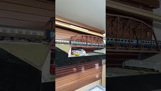 accurascale Deltic on a rail tour #modelrailway #fun #locomotive #accurascale #railtour #Deltic