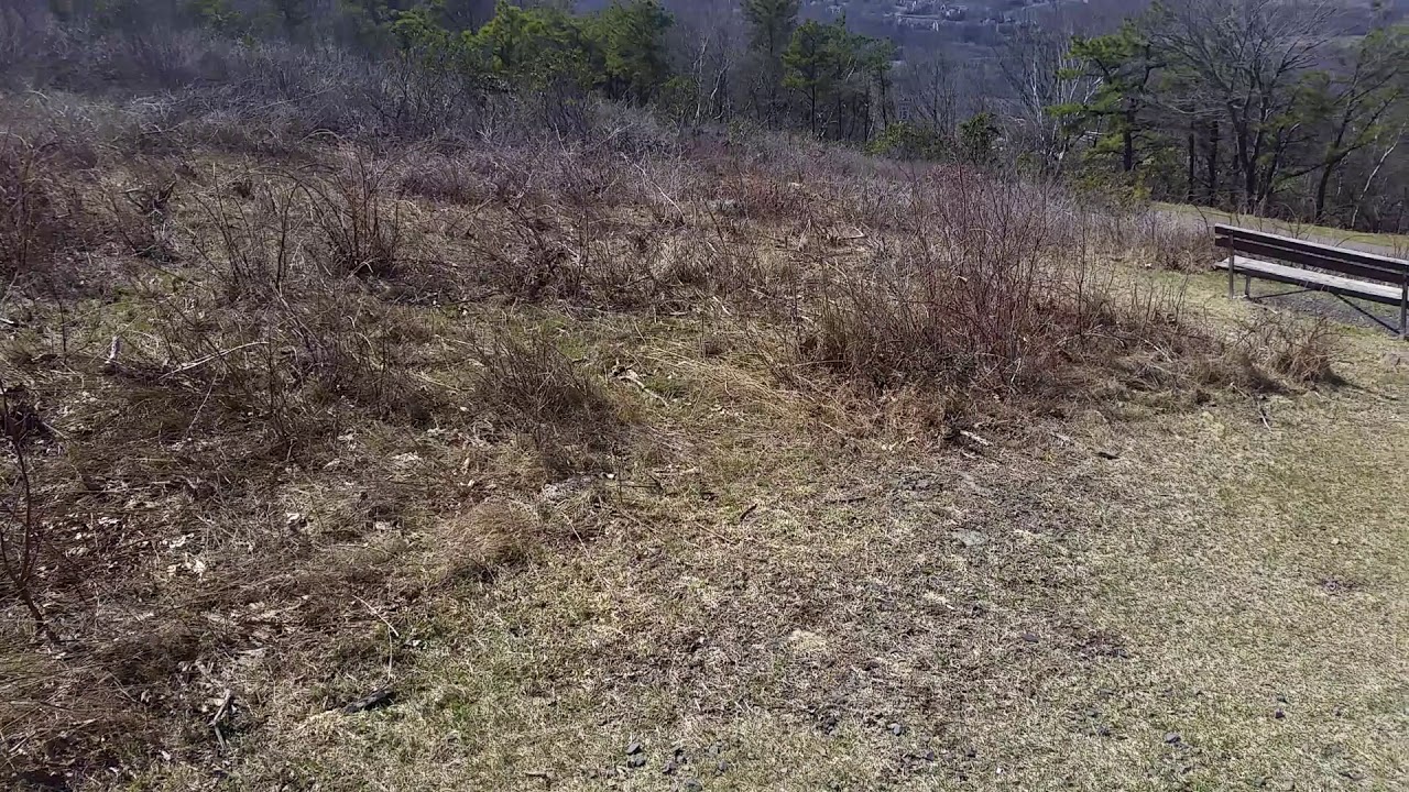 Big Pocono state park.